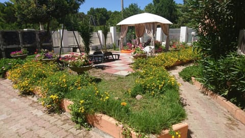 Porto Pino Villa Mimosa Villa in Sardinia