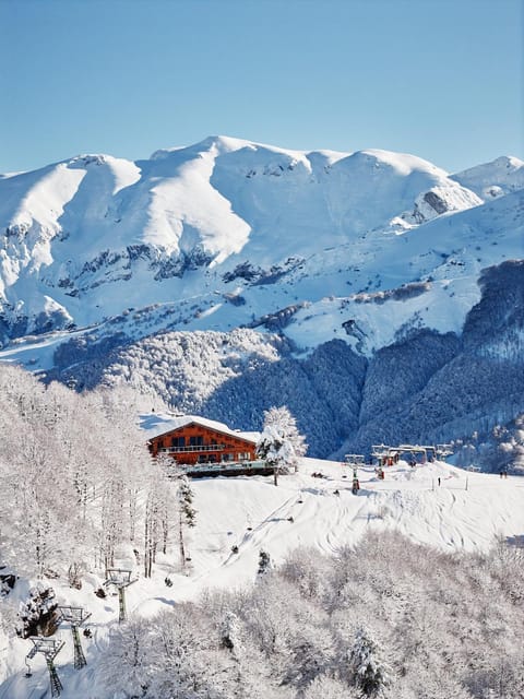 Property building, Bird's eye view, View (from property/room)