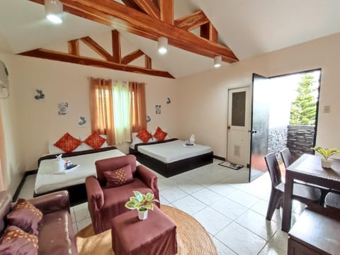 Bed, Living room, Photo of the whole room, Bedroom