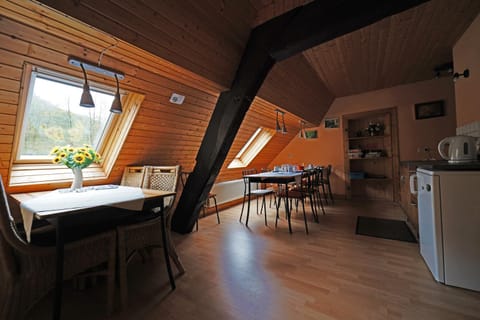 Kitchen or kitchenette, Seating area, Dining area, Evening entertainment, Communal kitchen, Garden view, Garden view, River view, River view