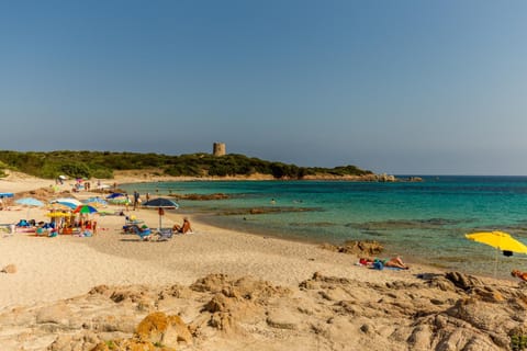 Fishing, Snorkeling, Beach, Windsurfing, Canoeing, Diving