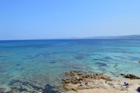 Fishing, Snorkeling, Beach, Windsurfing, Canoeing, Diving