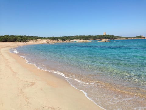 Fishing, Snorkeling, Beach, Windsurfing, Canoeing, Diving