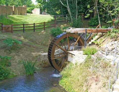 Natural landscape, Garden