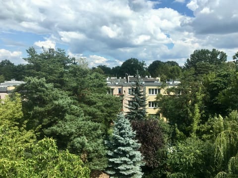 Off site, Day, Neighbourhood, Summer, Garden view