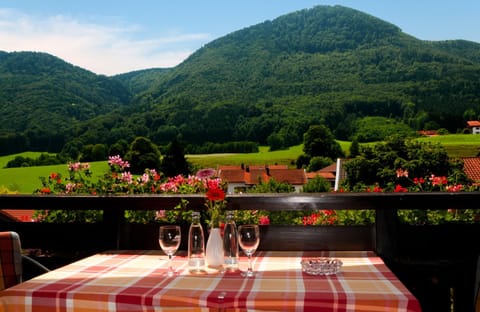 Balcony/Terrace, Mountain view