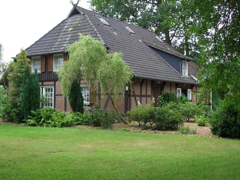 Property building, Day, Garden