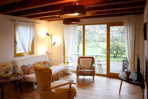 Gut Müllerleile Ferienwohnung Apartment in Offenburg