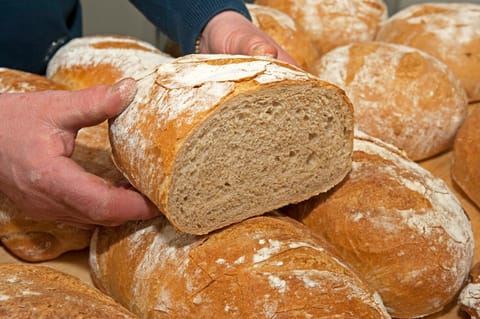 Restaurant/places to eat, Food, kitchen