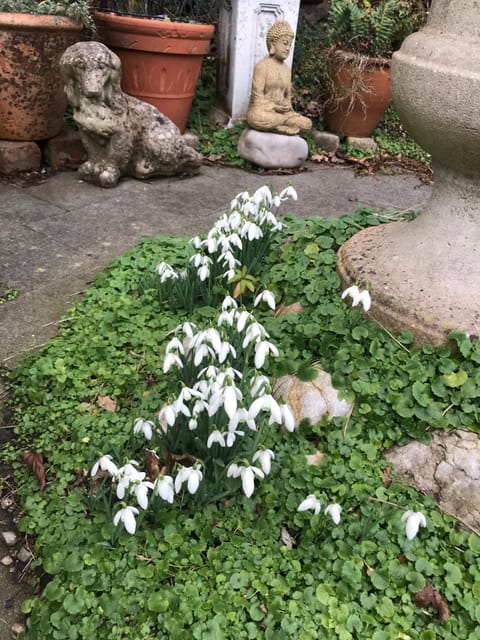 Church Street Homestay Vacation rental in Wales