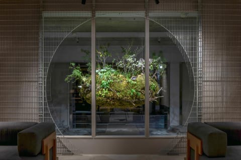 Lounge or bar