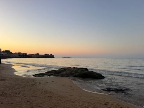 Natural landscape, Beach, Sunset