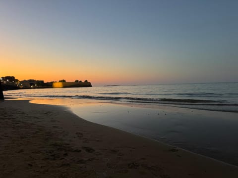 Natural landscape, Beach, Sunset