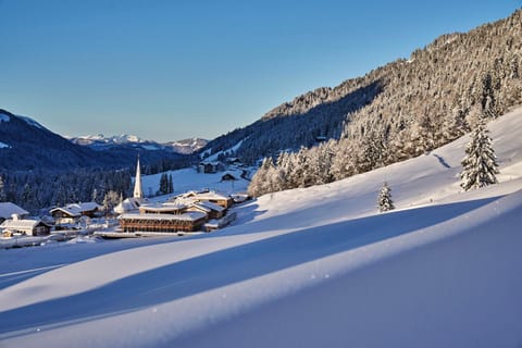 Winter, Area and facilities