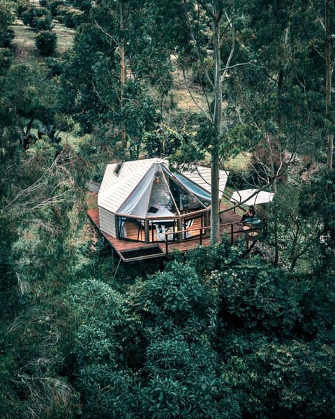 Day, Natural landscape, Bird's eye view, Photo of the whole room
