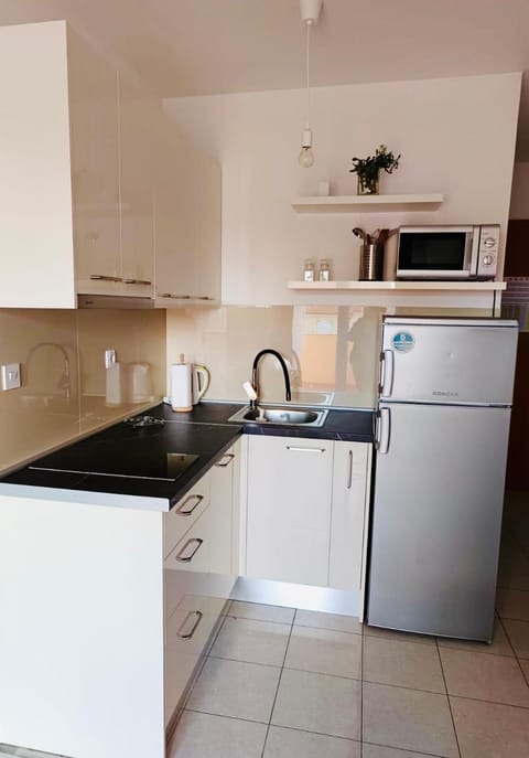 Kitchen or kitchenette, dishwasher, microwave, stove