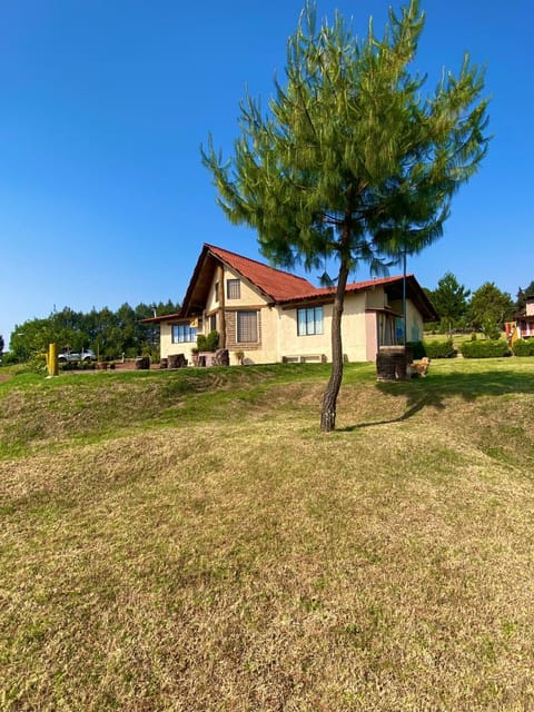 Property building, Natural landscape, Garden view