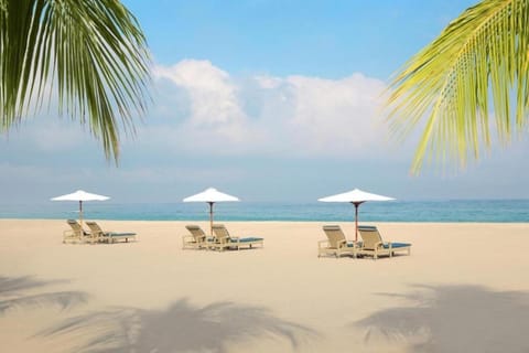 Natural landscape, Beach, Sea view
