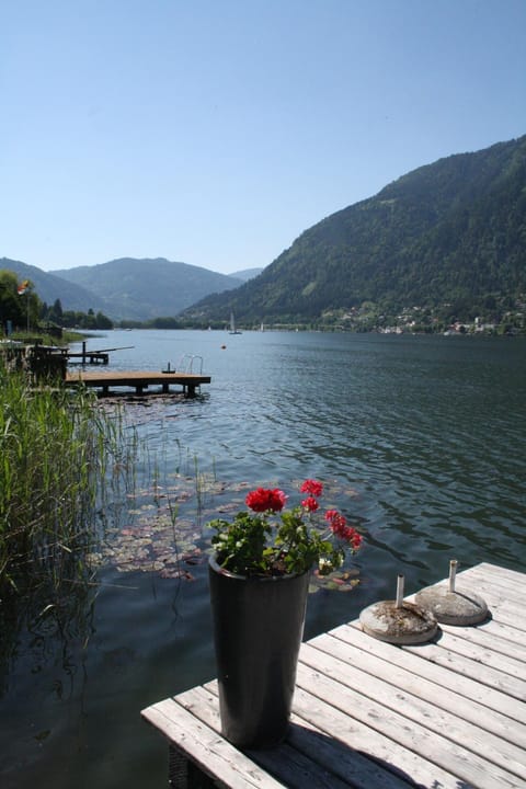 Day, Natural landscape, Beach