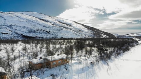 Bird's eye view, Winter