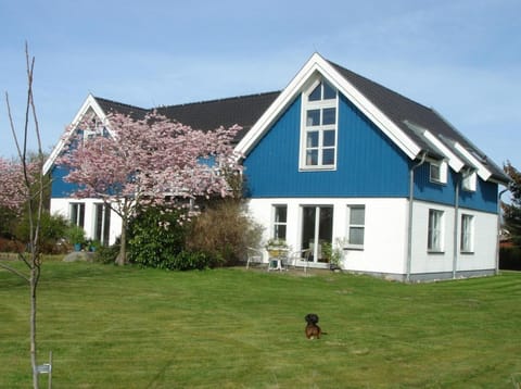 Haus am Deich Ferienwohnungen Apartment in Prerow