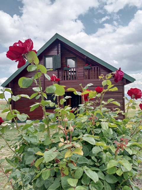 Boskovica Brvnare Country House in Montenegro