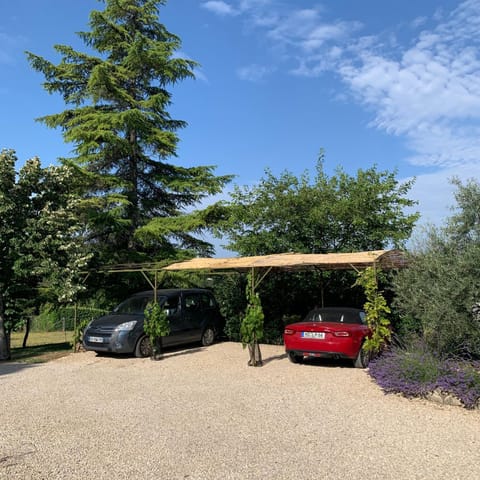 Chambre d'hôtes Le Cèdre Bed and Breakfast in Apt