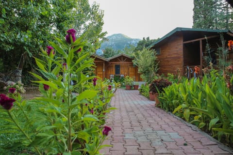 Day, Natural landscape, Garden, Garden view