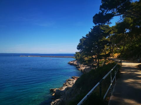 Day, Natural landscape, Beach