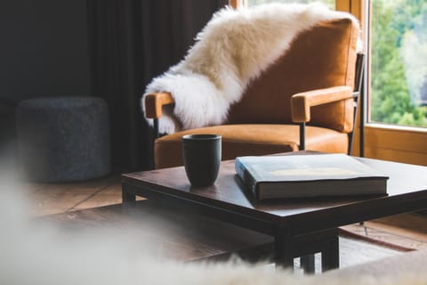 Living room, Decorative detail, Seating area, Mountain view
