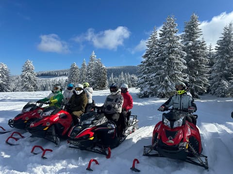 Day, People, Natural landscape, Winter