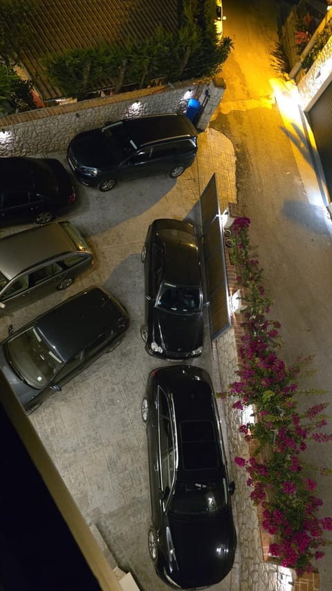 Night, Parking