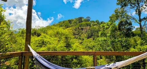 Natural landscape, Garden view, Mountain view