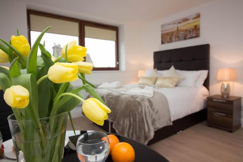 Trafalgar House Apartment in Stoke-on-Trent