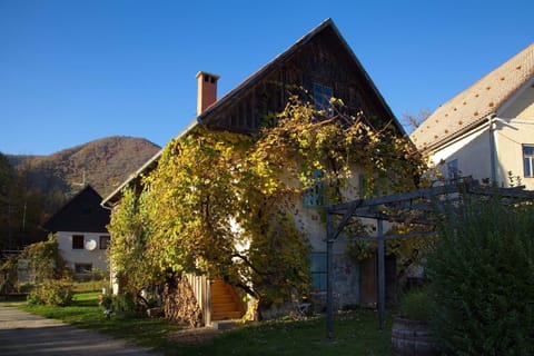 Property building, Natural landscape, Garden
