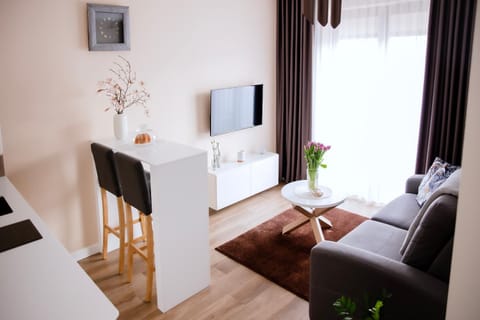 TV and multimedia, Area and facilities