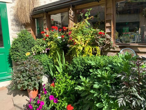 Garden, Balcony/Terrace
