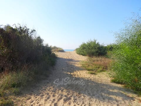 Property building, Beach
