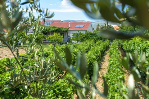 Property building, Garden, Garden view