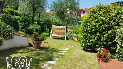 Patio, Garden, Garden view