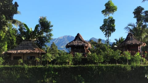 Property building, Garden, Mountain view