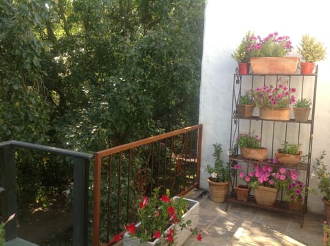 Property building, Balcony/Terrace, On site, Pets