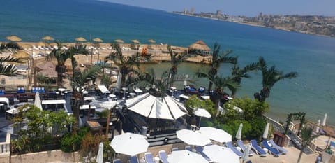 Restaurant/places to eat, Beach, sunbed