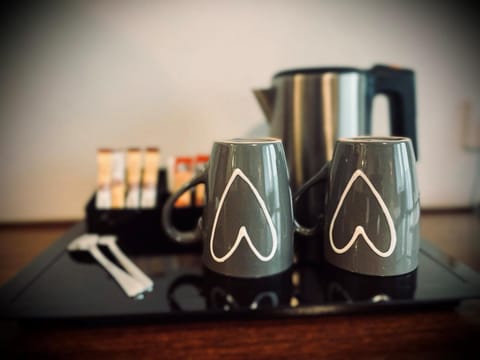 Hotel Regina Hotel in Mannheim