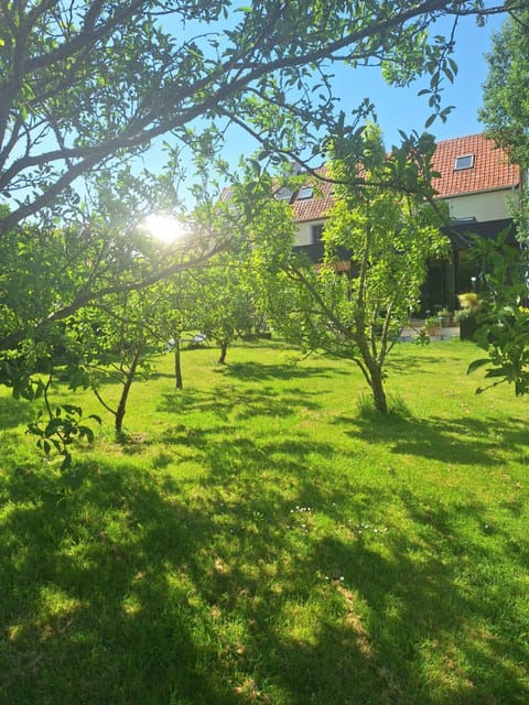 Property building, Natural landscape, Garden, Garden view