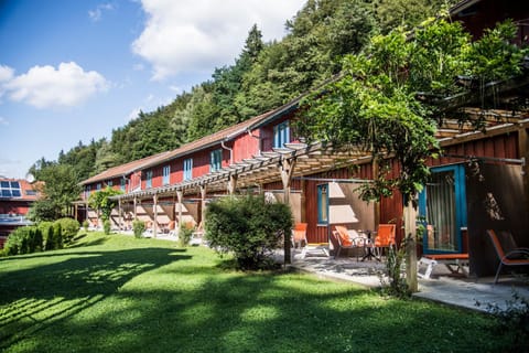 Property building, Summer, Garden, Garden view