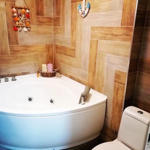 Marina Jacuzzi Apartment free parking Apartment in Novi Sad