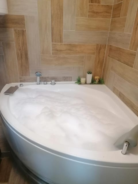 Marina Jacuzzi Apartment free parking Apartment in Novi Sad