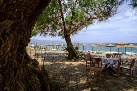 Seafront Paradise steps to Beach Apartment in Platanias