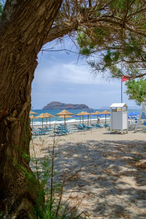 Seafront Paradise steps to Beach Apartment in Platanias